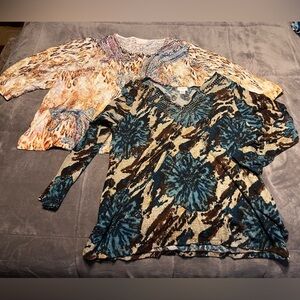 2 ladies blouses size 3X